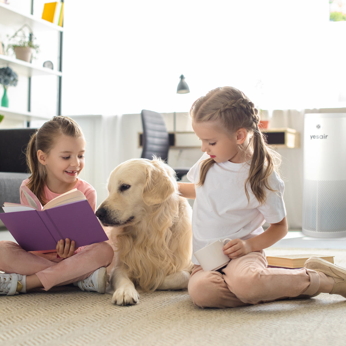 YESAir® Air Purifier