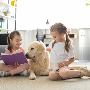 YESAir® Air Purifier